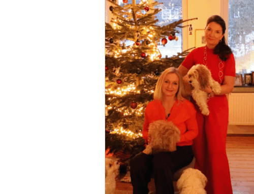 Noch ein Tag bis Heiligabend